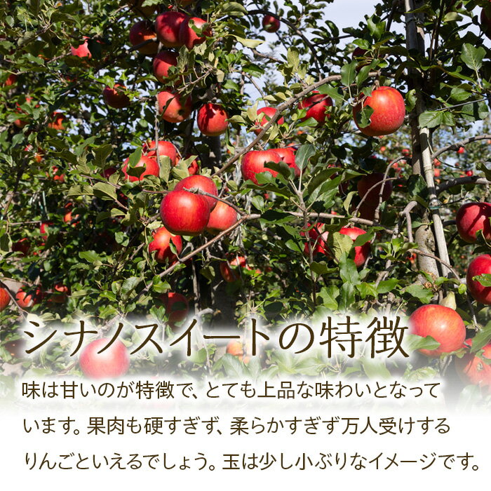 【ふるさと納税】 りんご シナノスイート 3kg 5kg 2025年 令和7年度発送分 リンゴ 林檎 長野 フルーツ 果物 信州産 長野県産 特産 産地直送 家庭用 おすすめ　 長野県 箕輪町 　お届け：2025年10月中旬～11月中旬ごろ サムネイル3