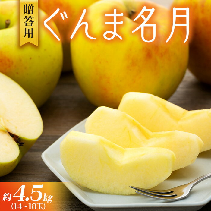 りんご ぐんま名月 4.5kg 14～18玉 贈答用 果物 くだもの フル−ツ 林檎 リンゴ ぐんま名月りんご 信州りんご 旬の果物 旬のフルーツ ギフト 贈り物 プレゼント 長野 長野県 箕輪町　お届け：2025年11月上旬～11月下旬