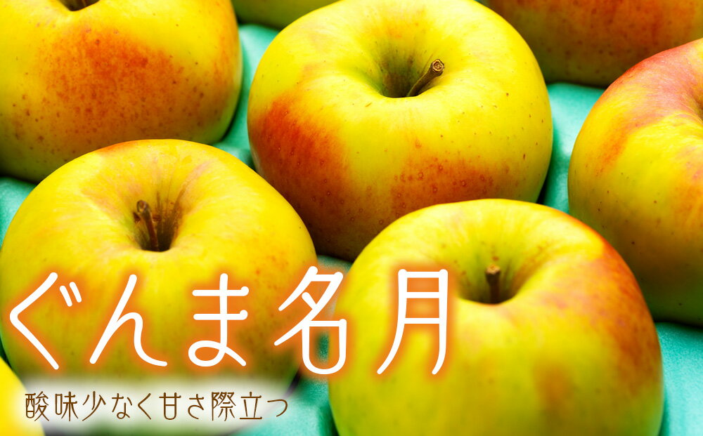 【ふるさと納税】りんご ぐんま名月 4.5kg 14～18玉 贈答用 果物 くだもの フル−ツ 林檎 リンゴ ぐんま名月りんご 信州りんご 旬の果物 旬のフルーツ ギフト 贈り物 プレゼント 長野 長野県 箕輪町　お届け：2025年11月上旬～11月下旬 サムネイル3