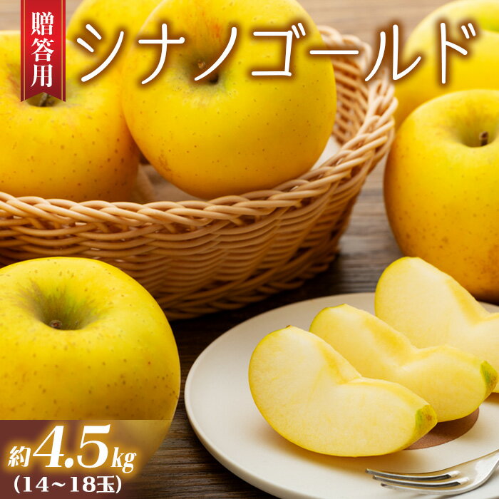 りんご シナノゴールド 4.5kg 14～18玉 贈答用 果物 くだもの フル−ツ 林檎 リンゴ 信濃ゴールド 信州りんご 旬の果物 旬のフルーツ ギフト 贈り物 プレゼント 長野 長野県 箕輪町　お届け：2025年11月上旬～12月上旬