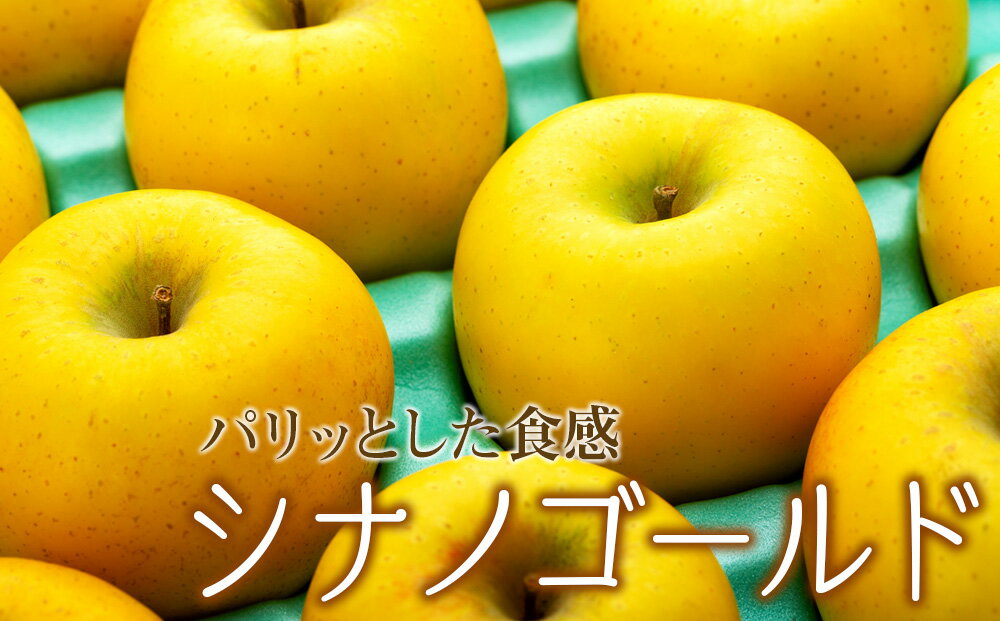 【ふるさと納税】りんご シナノゴールド 4.5kg 14～18玉 贈答用 果物 くだもの フル−ツ 林檎 リンゴ 信濃ゴールド 信州りんご 旬の果物 旬のフルーツ ギフト 贈り物 プレゼント 長野 長野県 箕輪町　お届け：2025年11月上旬～12月上旬 サムネイル3