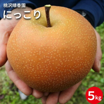 【桃沢晴香園】にっこり梨 約5kg(7玉)【配送不可地域：離島・沖縄県】【1606256】