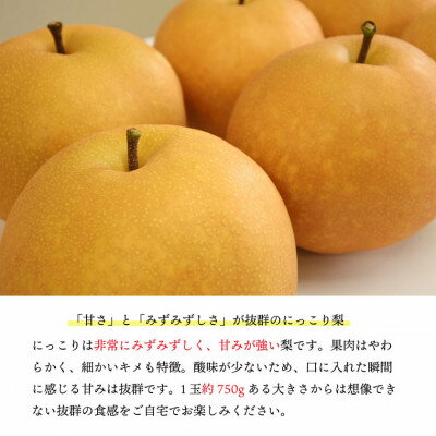 【ふるさと納税】【桃沢晴香園】にっこり梨 約5kg(7玉)【配送不可地域：離島・沖縄県】【1606256】 サムネイル2