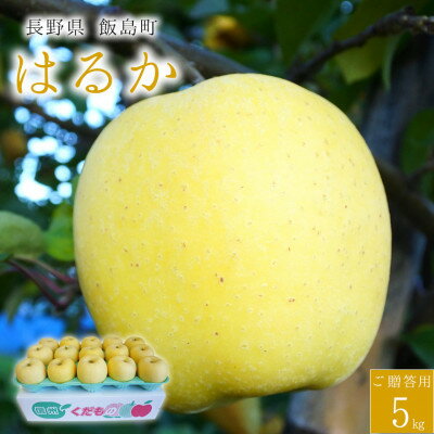【桃沢晴香園】はるか(りんご)5kg【配送不可地域：離島・沖縄県】【1606258】