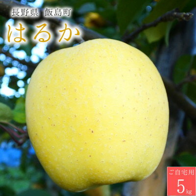 【桃沢晴香園】はるか(りんご)5kg　ご自宅用【配送不可地域：離島・沖縄県】【1606259】