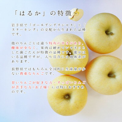 【ふるさと納税】【桃沢晴香園】はるか(りんご)5kg　ご自宅用【配送不可地域：離島・沖縄県】【1606259】 サムネイル2