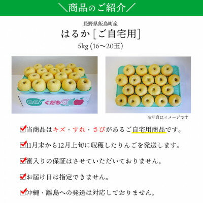 【ふるさと納税】【桃沢晴香園】はるか(りんご)5kg　ご自宅用【配送不可地域：離島・沖縄県】【1606259】 サムネイル3