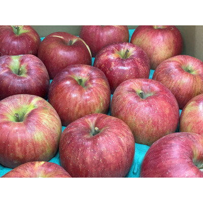 サンふじ 家庭用 9kg(赤秀13～14度の糖度保障)【1615473】