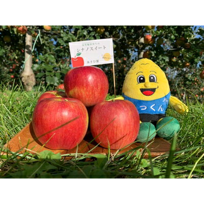 【ふるさと納税】もぎたて『シナノスイート』りんご　約5kg【1053404】 サムネイル2