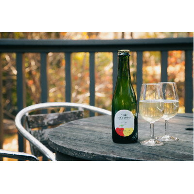 シードル　ド　カミーナ(長野県上伊那産りんごのスパークリングワイン)辛口375ml×12本【配送不可地域：離島】【1281747】