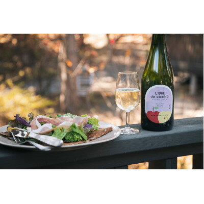 シードル　ド　カミーナ(長野県上伊那産りんごのスパークリングワイン)甘口375ml×2本【配送不可地域：離島】【1374308】