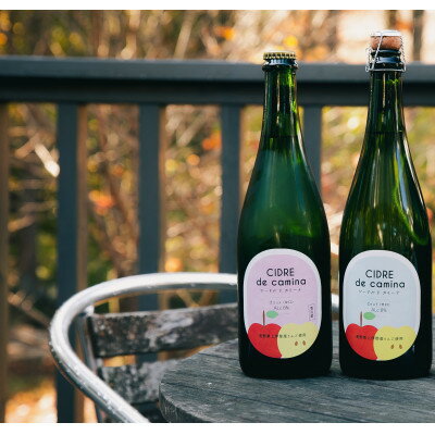 シードル　ド　カミーナ(長野県上伊那産りんごのスパークリングワイン)辛口・甘口375ml×各1本【配送不可地域：離島】【1374660】