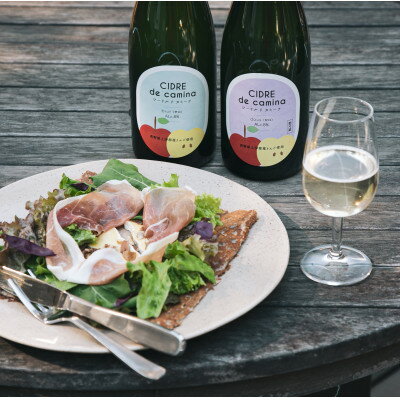 【ふるさと納税】シードル　ド　カミーナ(長野県上伊那産りんごのスパークリングワイン)辛口・甘口375ml×各1本【配送不可地域：離島】【1374660】 サムネイル2