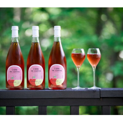 【ふるさと納税】シードル　ド　カミーナ(長野県上伊那産りんごのスパークリングワイン)ロゼ750ml×1本【配送不可地域：離島】【1561079】 サムネイル2