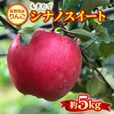 もぎたて『シナノスイート』りんご　約5kg【1053404】