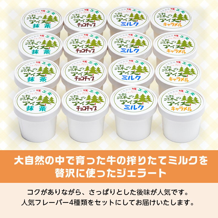 【ふるさと納税】地元産フレッシュミルクたっぷりジェラート森のアイス16個セット_ アイス アイスクリーム ジェラート ミルク キャラメル チョコチップ 抹茶 4種 セット 菓子 スイーツ おやつ 長野県 南箕輪村 冷凍 ギフト 送料無料 【配送不可地域：離島】【1007816】 サムネイル3