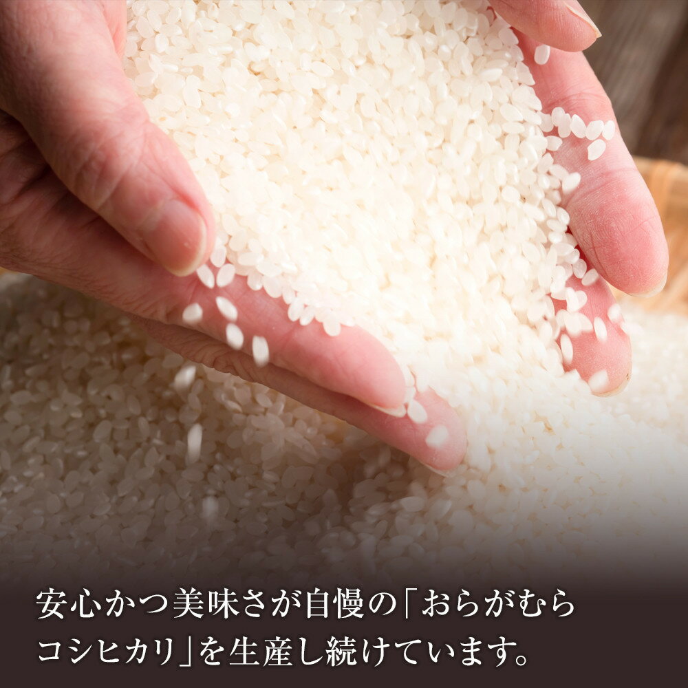 【ふるさと納税】【予約受付】【令和7年米】長野県宮田村産コシヒカリ 精米 9 ～ 27kg ＜選べる内容量・配送月＞ - 画像3