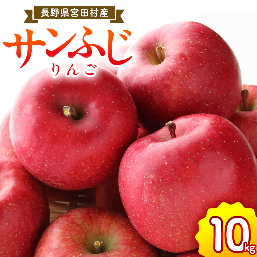 サンふじリンゴ（10kg）（予約制）（りんご 林檎 フルーツ ビタミン 果物 くだもの 食品 上伊那 宮田村 長野 信州 甘い 新鮮 人気 ギフト 贈答 お祝い プレゼント 贈り物 特産品）