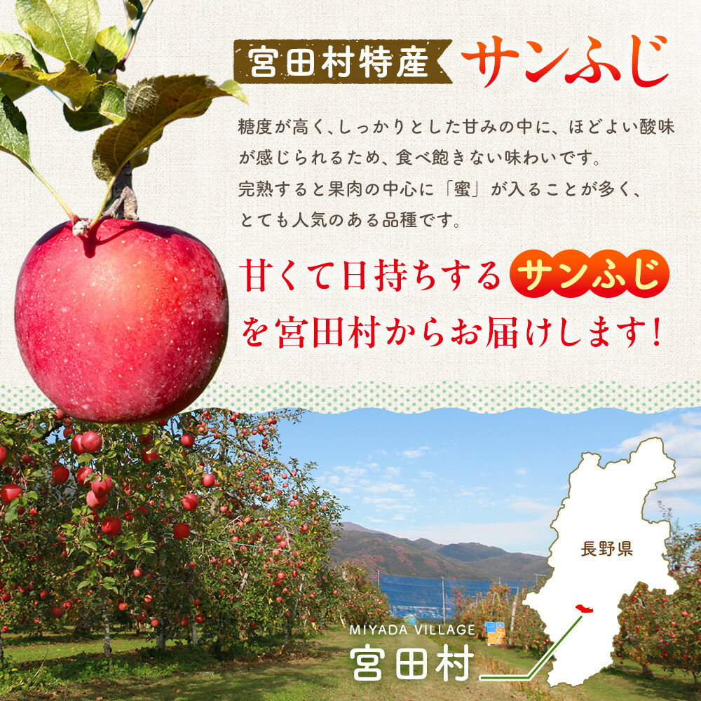 【ふるさと納税】サンふじリンゴ（10kg）（予約制）（りんご 林檎 フルーツ ビタミン 果物 くだもの 食品 上伊那 宮田村 長野 信州 甘い 新鮮 人気 ギフト 贈答 お祝い プレゼント 贈り物 特産品） サムネイル2