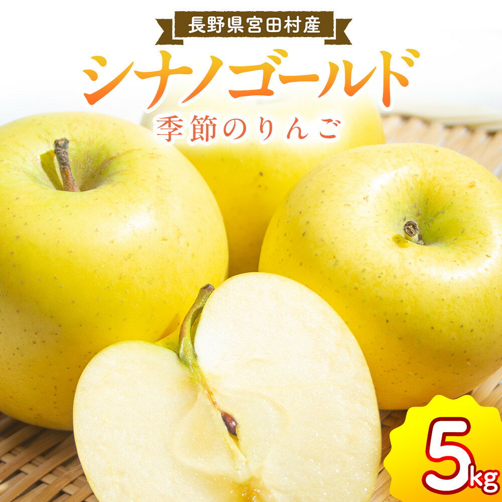 季節のりんご『シナノゴールド』（5kg）（予約制）（りんご 林檎 フルーツ ビタミン 果物 くだもの 上伊那 宮田村 長野 信州 甘い 新鮮 人気 ギフト 贈答 お祝い プレゼント 贈り物 特産品）