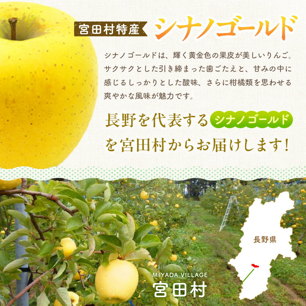 【ふるさと納税】季節のりんご『シナノゴールド』（5kg）（予約制）（りんご 林檎 フルーツ ビタミン 果物 くだもの 上伊那 宮田村 長野 信州 甘い 新鮮 人気 ギフト 贈答 お祝い プレゼント 贈り物 特産品） サムネイル2