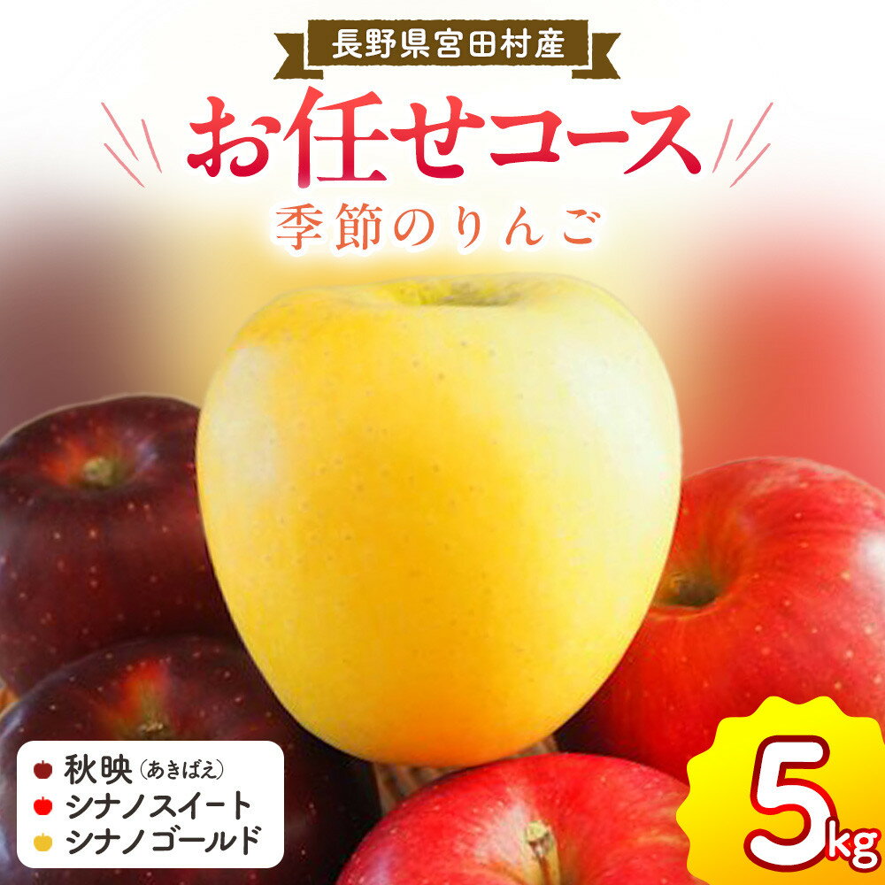 季節のりんご『お任せコース』（5kg）（予約制）（りんご 林檎 フルーツ ビタミン 果物 くだもの 上伊那 宮田村 長野 信州 甘い 新鮮 人気 ギフト 贈答 特産品）