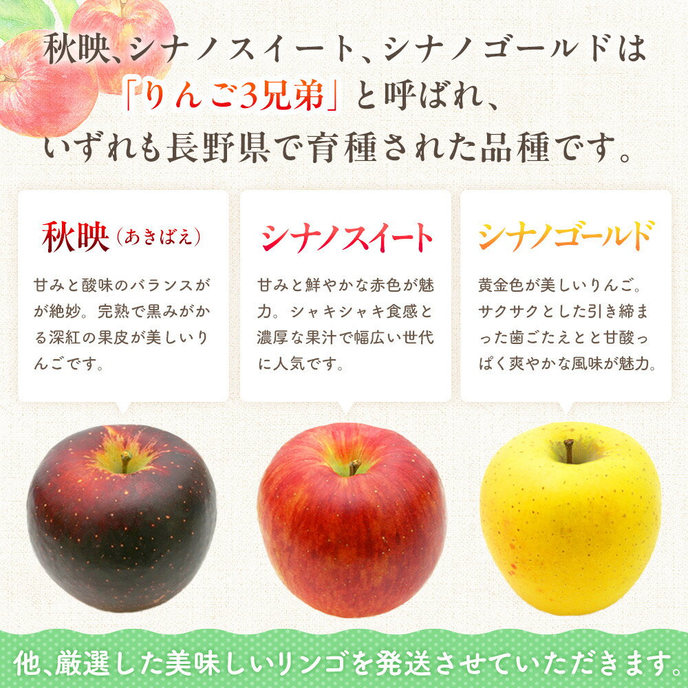 【ふるさと納税】季節のりんご『お任せコース』（5kg）（予約制）（りんご 林檎 フルーツ ビタミン 果物 くだもの 上伊那 宮田村 長野 信州 甘い 新鮮 人気 ギフト 贈答 特産品） サムネイル2