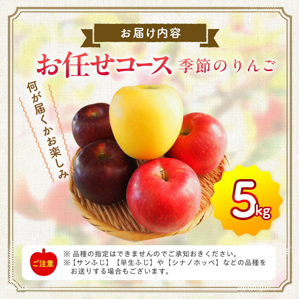 【ふるさと納税】季節のりんご『お任せコース』（5kg）（予約制）（りんご 林檎 フルーツ ビタミン 果物 くだもの 上伊那 宮田村 長野 信州 甘い 新鮮 人気 ギフト 贈答 特産品） サムネイル3