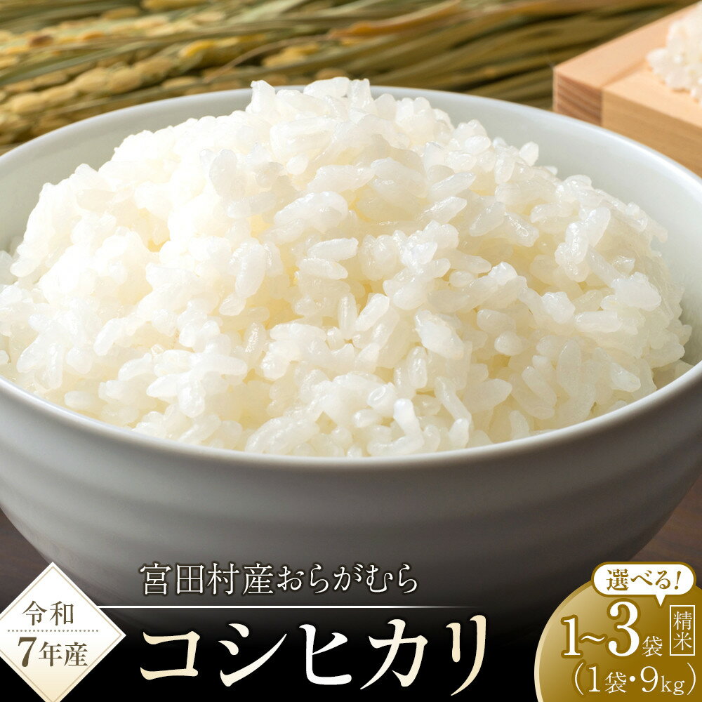 【予約受付】【令和7年米】長野県宮田村産コシヒカリ 精米 9 ～ 27kg ＜選べる内容量・配送月＞