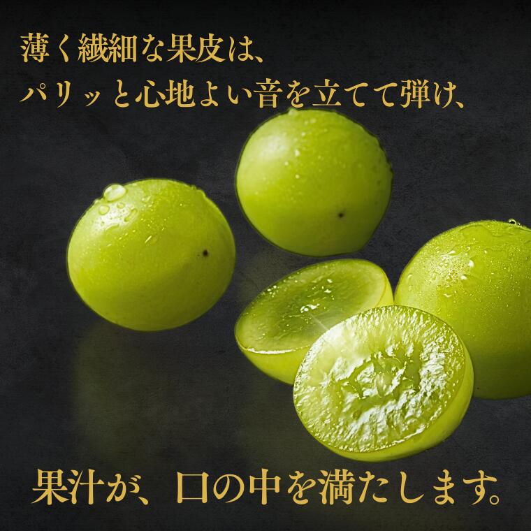 【ふるさと納税】＊2026年度発送＊シャインマスカット2kg ／9月中旬〜10月下旬 配送予定 ／ぶどう　葡萄　シャイン　マスカット　果物　フルーツ　人気 高評価　南信州産 種なし 長野県 フルーツギフト ギフト オススメ プレゼント 高級ぶどう 松川町 JA11 - 画像3