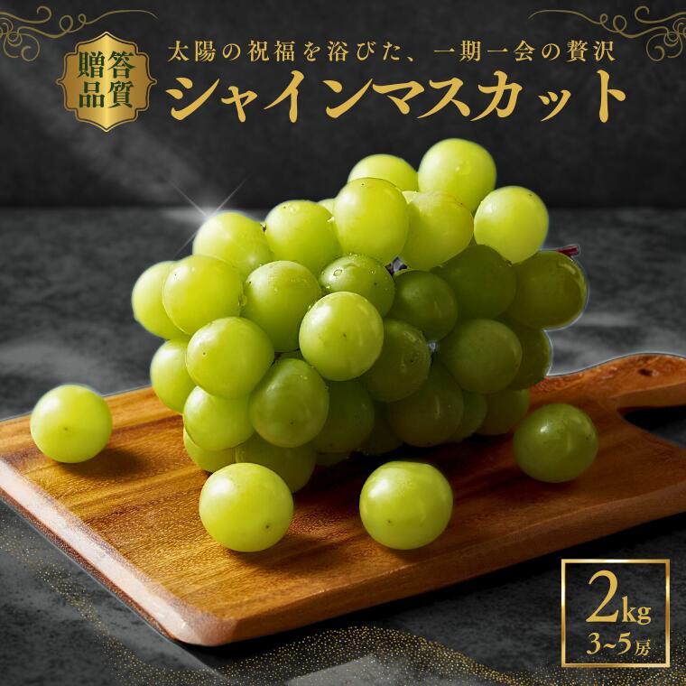 ＊2026年度発送＊シャインマスカット2kg ／9月中旬〜10月下旬 配送予定 ／ぶどう　葡萄　シャイン　マスカット　果物　フルーツ　人気 高評価　南信州産 種なし 長野県 フルーツギフト ギフト オススメ プレゼント 高級ぶどう 松川町 JA11