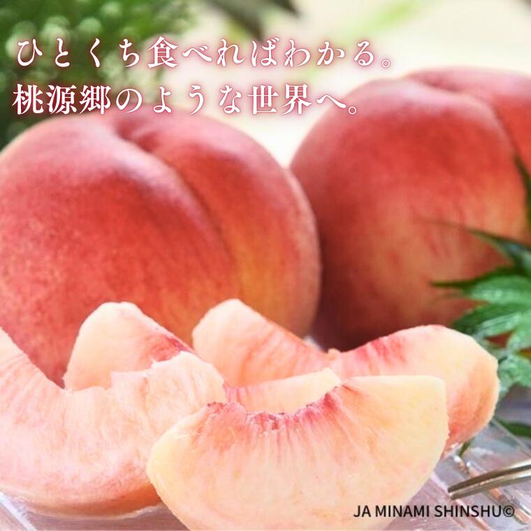 【ふるさと納税】＊2026年度発送＊　南信州産　桃［あかつき］優糖生以上 約2kg ～ 約5kg／2026年7月下旬頃 配送予定（JA01～03） 先行予約 フルーツ 長野県産 果物 モモ 白桃 2kg 3kg 5kg 桃人気No.1 高評価 レビュー サムネイル2