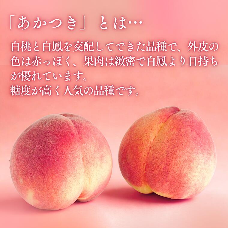 【ふるさと納税】＊2026年度発送＊　南信州産　桃［あかつき］優糖生以上 約2kg ～ 約5kg／2026年7月下旬頃 配送予定（JA01～03） 先行予約 フルーツ 長野県産 果物 モモ 白桃 2kg 3kg 5kg 桃人気No.1 高評価 レビュー サムネイル3