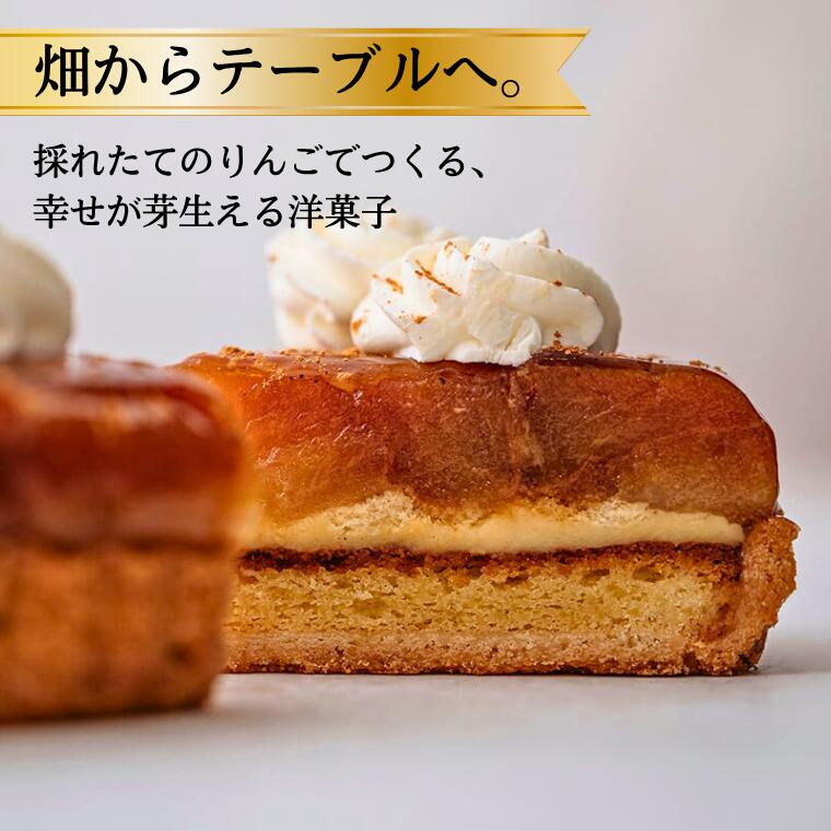 【ふるさと納税】季節りんごのタルトタタン // 長野県産 サンふじ リンゴ 林檎 フランス 本格 スイーツ さくさくタルト 甘さ控えめ 贈答 ギフト 1ホール 冷凍 タルトタタン タルト - 画像2