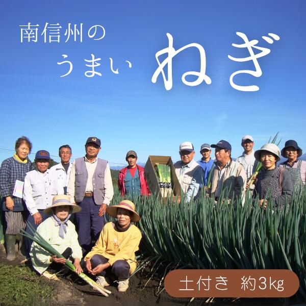 土付きねぎ 約3kg ／2025年12月中旬〜2026年2月上旬頃配送予定 // 長野県 南信州産 野菜 信州野菜 新鮮 長ネギ ネギ 長ねぎ 白ねぎ 白ネギ JA24