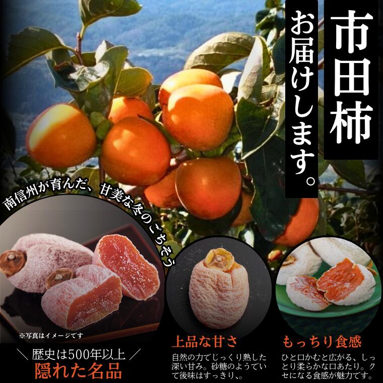【ふるさと納税】JAみなみ信州から届ける最高級ドライフルーツ 市田柿（干柿）/2025年12月～2026年2月上旬発送 高級 干し柿 お取り寄せ 果物 フルーツ 長野県 南信州 自宅用 訳あり［JA38］ サムネイル3