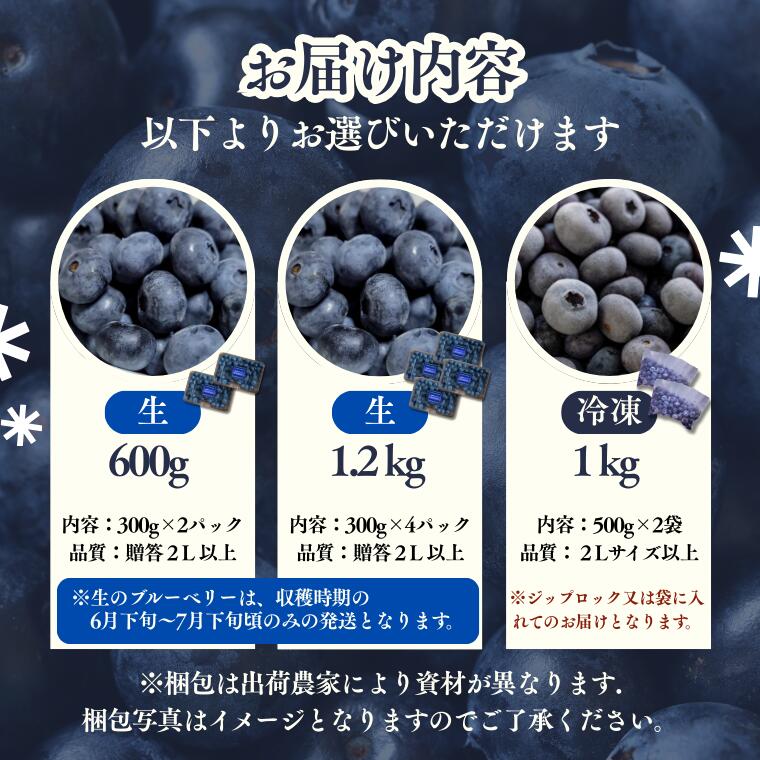 【ふるさと納税】朝摘みブルーベリー(2Lサイズ以上)　選べる「生」or「冷凍」600g～1200g / 2026年6月下旬頃から発送／フルーツ 果物 くだもの 長野 大粒 甘い 冷凍 高評価 スムージー 健康 美容 視力 抗酸化 無添加 無糖 砂糖不使用 急速冷凍／KB01 KB02 KB05 - 画像3