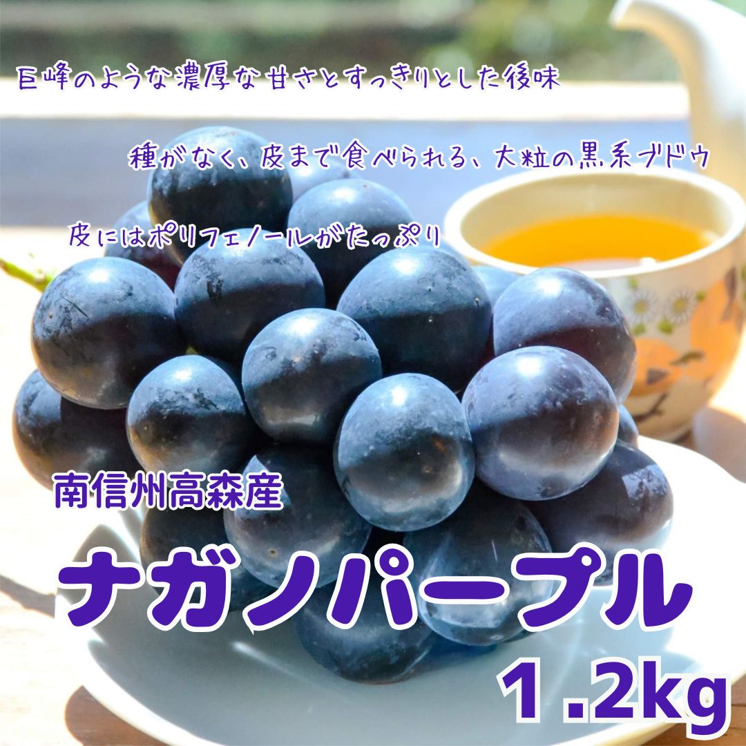 【南信州高森産】令和8年度先行受付ナガノパープル 約1.2kg 2026年8月中旬より発送 長野県 信州 農家直送 果物 くだもの ぶどう 旬のぶどう パープル 山吹ぶどう狩り組合【配送不可地域：離島】