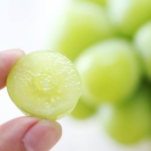 【ふるさと納税】【大人気!】長野県産・シャインマスカット(約1kg～) 秀品 2026年9月下旬から発送 信州 南信州 高森町 産地直送 果物 くだもの ぶどう 旬のぶどう シャイン 山下屋荘介【配送不可地域：離島】 サムネイル3