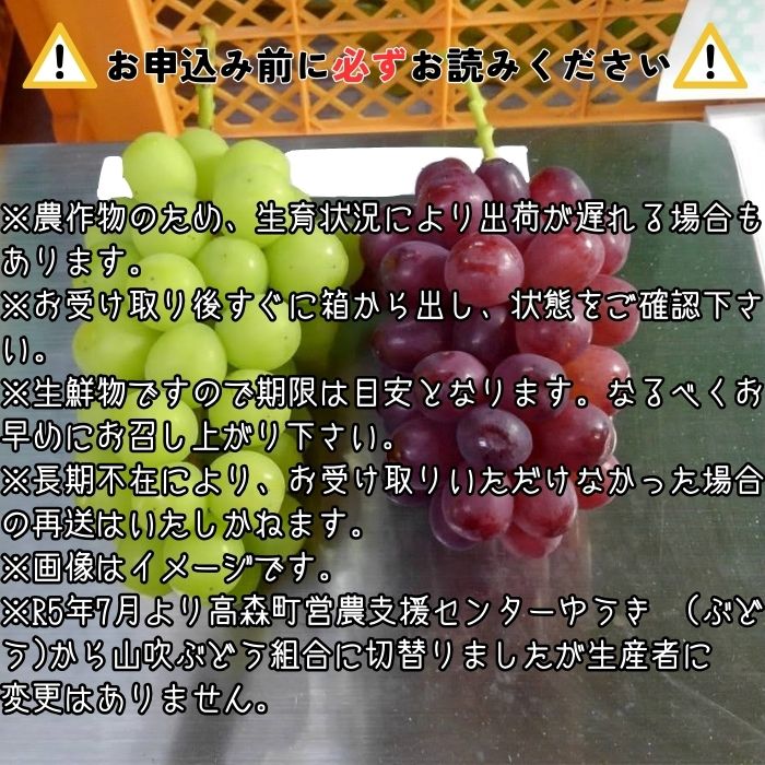 【ふるさと納税】クイーンルージュTM＆シャインマスカットぶどう2種セット約1.2kg 2026年9月中旬より発送 長野県 信州 南信州 高森町 農家直送 果物 くだもの ぶどう 旬のぶどう 山吹ぶどう狩り組合【配送不可地域：離島】 サムネイル2