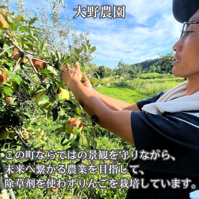 【ふるさと納税】サンふじ 3kg【配送不可地域：離島】 サムネイル2