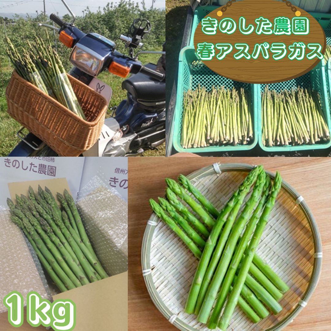 アスパラガス きのした農園の春アスパラガス 4月中旬より発送開始 長野県 信州 南信州 高森町 春の味覚 春の野菜 やさい 【配送不可地域：離島】