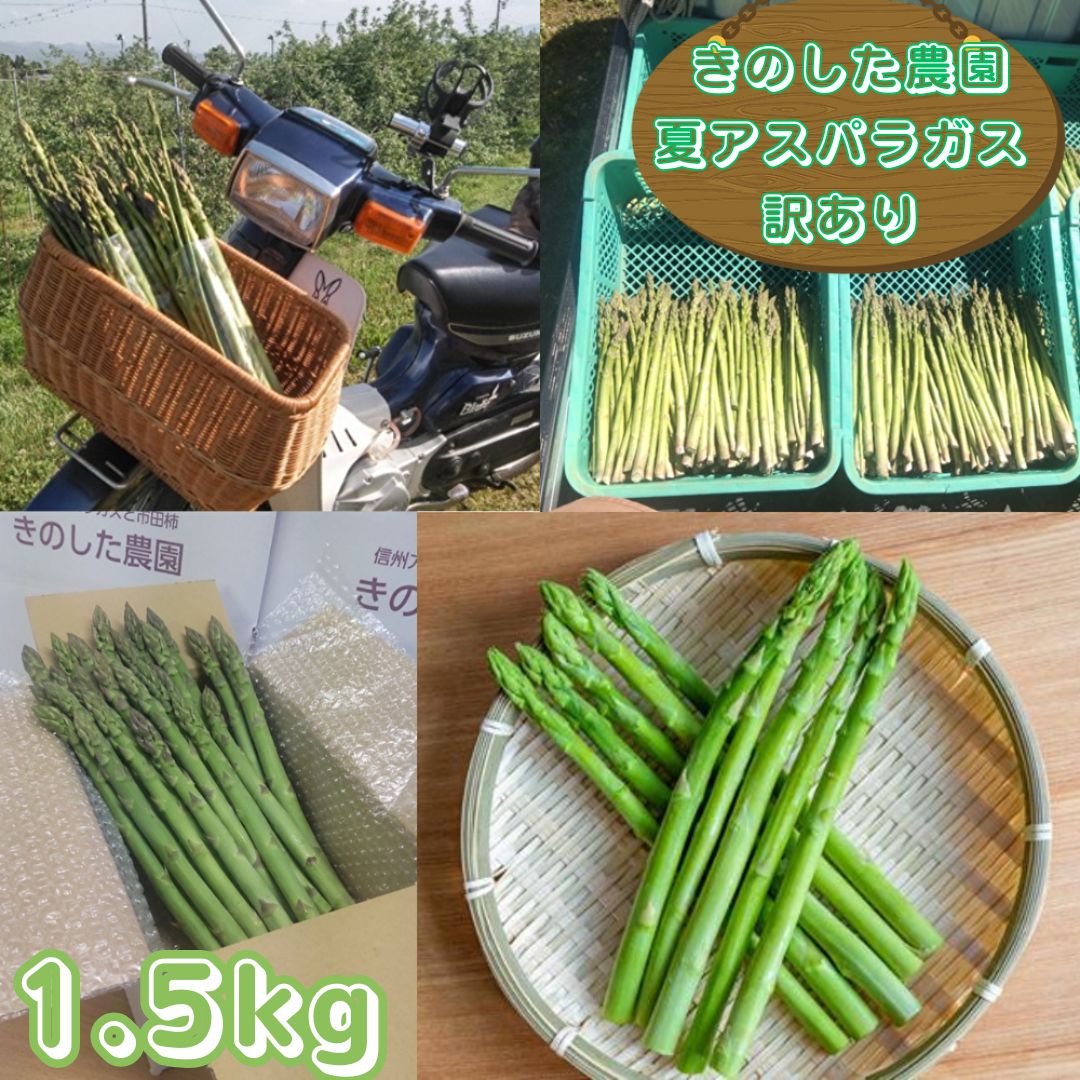 アスパラガス きのした農園の訳あり夏アスパラガス 7月初旬より発送開始 長野県 信州 南信州 高森町 夏の味覚 夏の野菜 やさい ご家庭用【配送不可地域：離島】