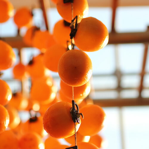 【ふるさと納税】【長野県産】南信州に伝わる伝統の味「市田柿」500g 2026年1月上旬より発送 信州 南信州 高森町 柿 干し柿 かき 高級 和菓子 お茶請け ドライフルーツ 自然食品 山下屋荘介【配送不可地域：離島】 サムネイル3