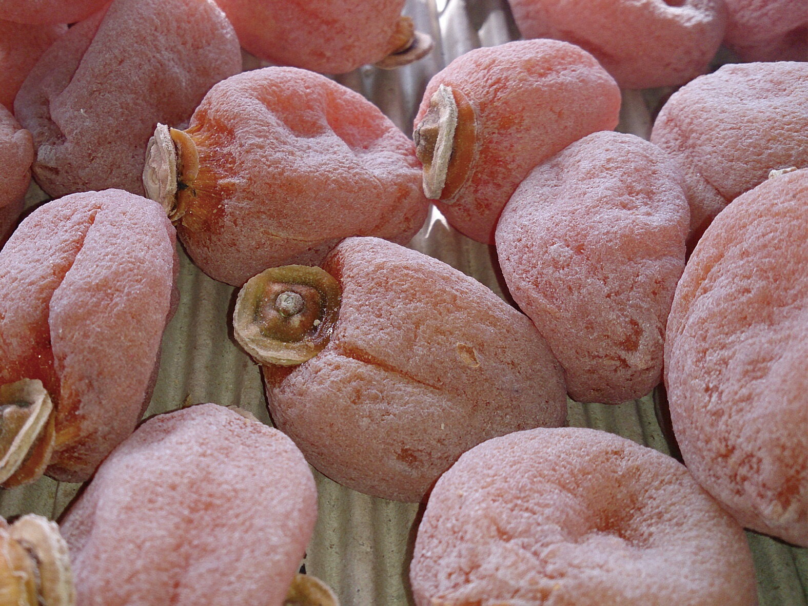 【ふるさと納税】【市田柿専門店 金の柿】市田柿 自家用250g×2袋（500g） 2026年1月発送開始 長野県 信州 南信州 高森町 柿 干し柿 かき 高級 和菓子 お茶請け ご家庭用 ドライフルーツ 自然食品 アグリスタくましろ【配送不可地域：離島】 サムネイル3