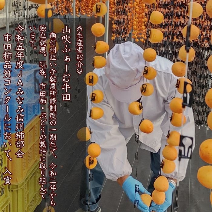 【ふるさと納税】【数量限定】市田柿 2Lサイズ 500g×2袋 2026年1月発送開始 長野県 信州 南信州 高森町 柿 干し柿 かき 高級 和菓子 お茶請け ドライフルーツ 自然食品 山吹ふぁーむ牛田【配送不可地域：離島】 サムネイル2