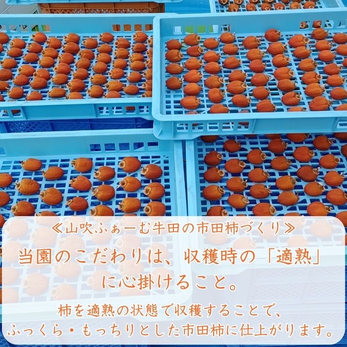 【ふるさと納税】【数量限定】市田柿 2Lサイズ 500g×2袋 2026年1月発送開始 長野県 信州 南信州 高森町 柿 干し柿 かき 高級 和菓子 お茶請け ドライフルーツ 自然食品 山吹ふぁーむ牛田【配送不可地域：離島】 サムネイル3