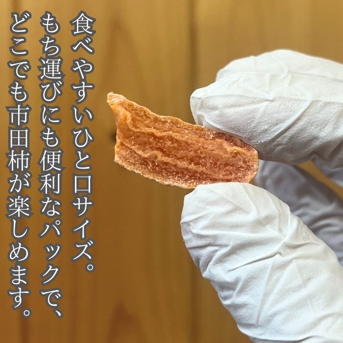 【ふるさと納税】市田柿 柿チップ（100g×6袋）ひとくちサイズ【配送不可地域：離島】 サムネイル3