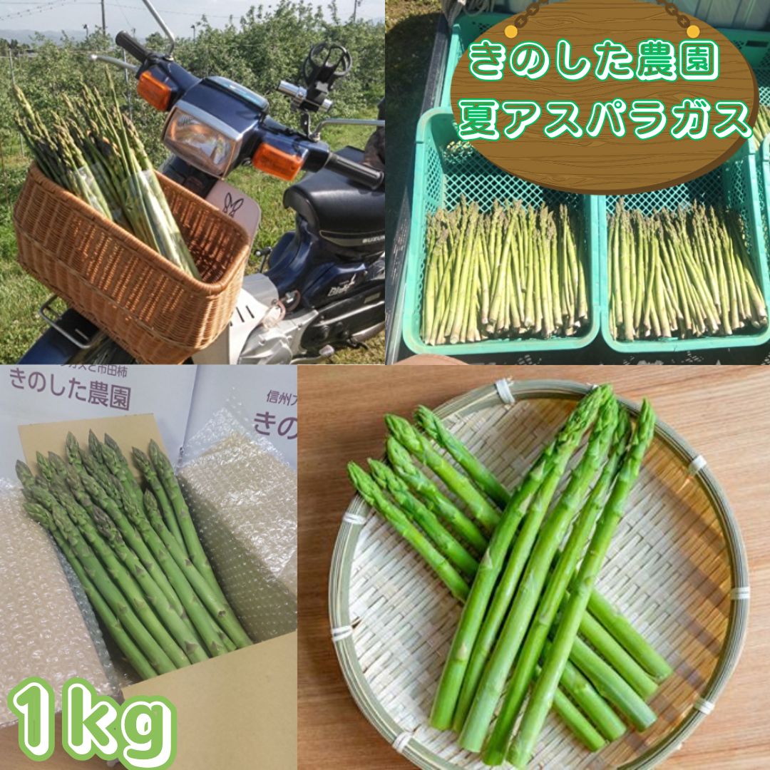 アスパラガス きのした農園の夏アスパラガス 7月初旬より発送開始 長野県 信州 南信州 高森町 夏の味覚 夏の野菜 やさい 【配送不可地域：離島】