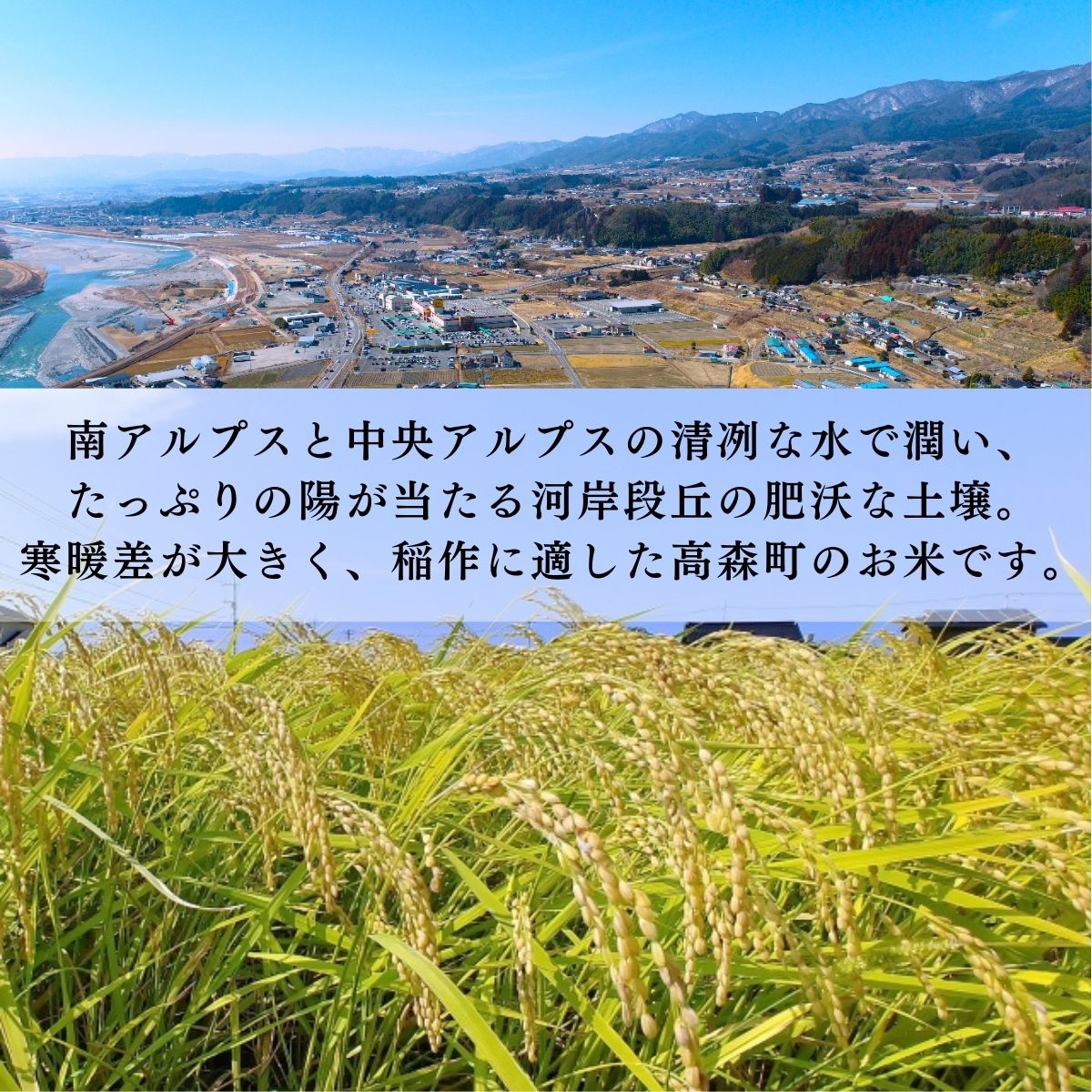 【ふるさと納税】米 コシヒカリ 2025年産【南信州高森産】コシヒカリ精米 玄米 5kg・10kg・20kg・30kg 信州 南信州 高森町 コメ 農事組合法人フクロウ 【配送不可地域：離島】 - 画像2